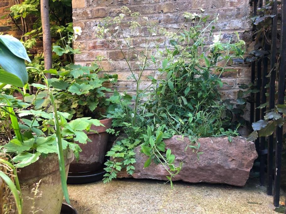 Case de vacanță Kings Cross, Self-contained House & Private Garden Londra