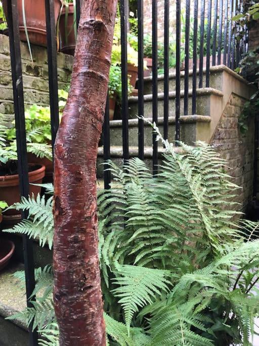 Kings Cross, Self-contained House & Private Garden Londra